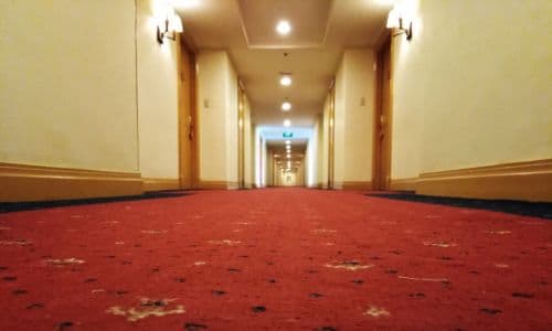 Carpet Cleaning